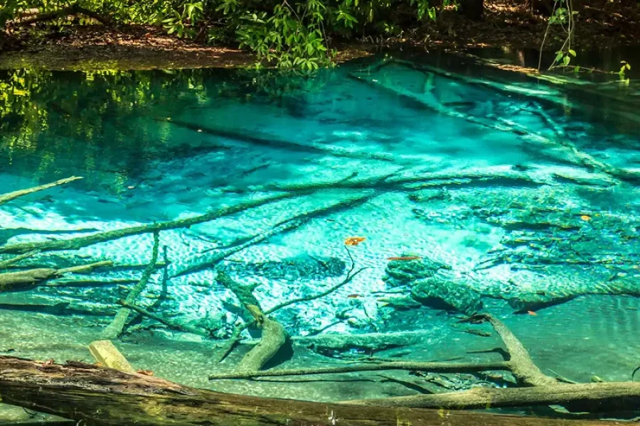 Ao Nang: Crystal Pool Kayaking ATV and Pineapple Farm Tour
