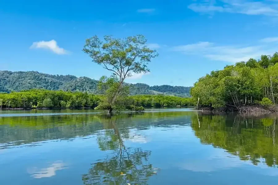 Ko Lanta: The Mangrove Kayaking Experience + Local Lunch